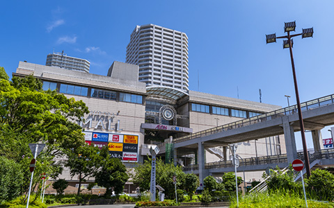 特徴イメージ
